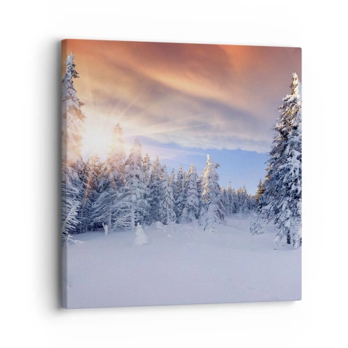 Lærredstryk - Billede på lærred - Et snedækket naturspektakel - 30x30 cm
