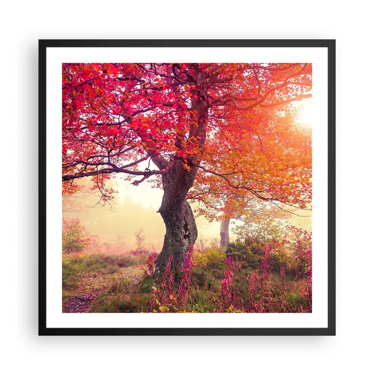 Plakat i sort ramme - Et væld af blomstring - 60x60 cm