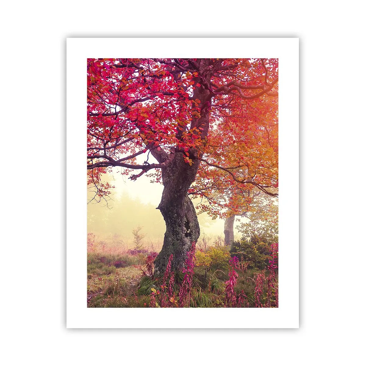 Plakat - Et væld af blomstring - 40x50 cm