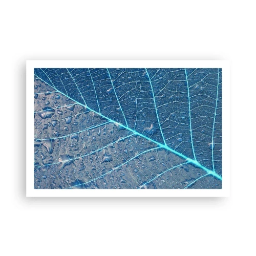 Plakat - Livet i det blå - 91x61 cm