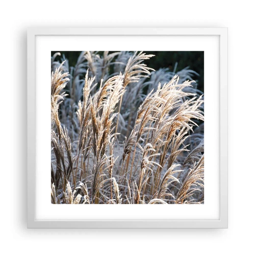 Plakat i hvid ramme - Pyntet med frost - 40x40 cm