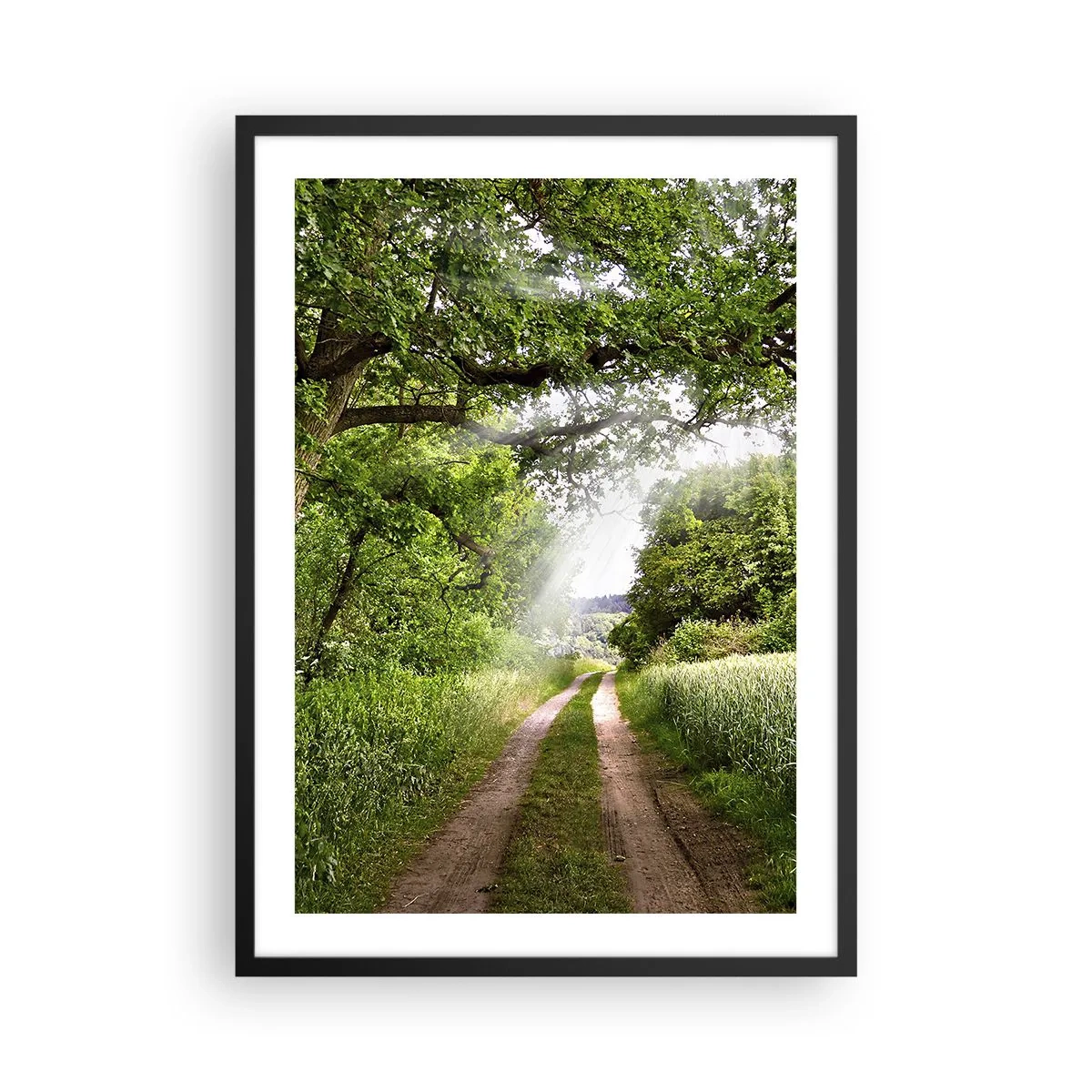 Plakat i sort ramme - En skyggefuld grusvej omgivet af frodige grønne træer og enge - 50x70cm - Et in Arcadia ego - Moderne vægdekoration til stue og soveværelse ARTTOR