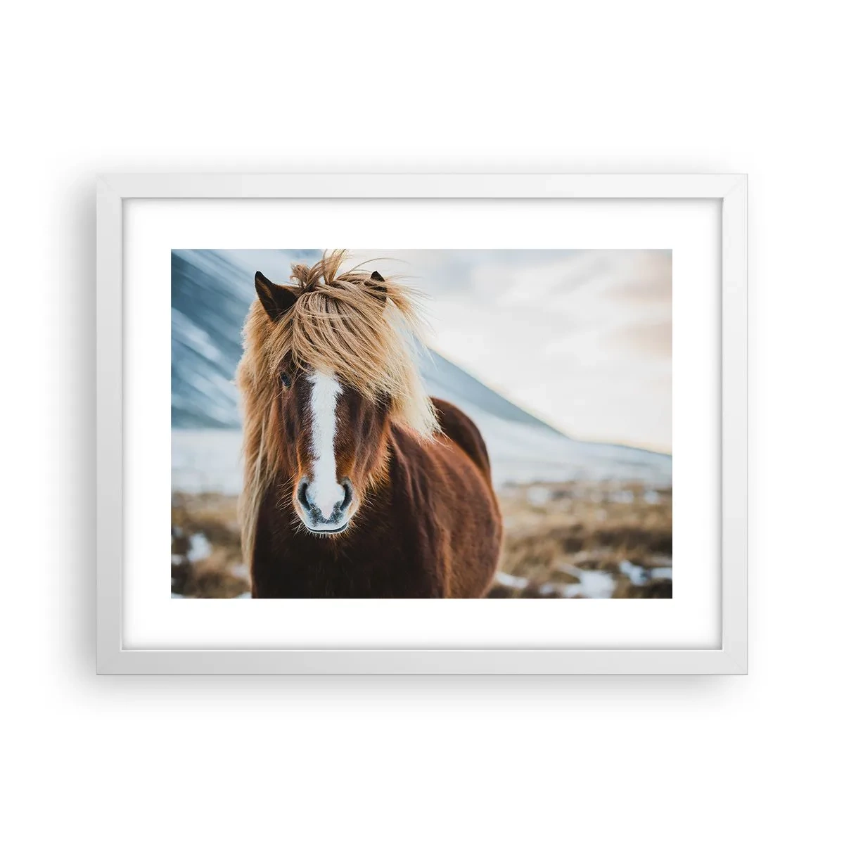 Plakat i hvid ramme - Kan du mærke friheden? - 40x30 cm