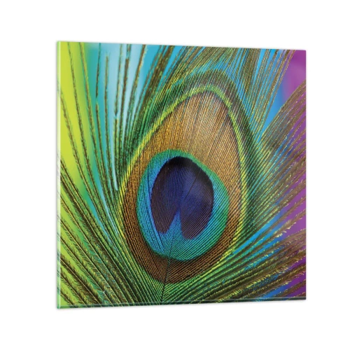 Billede på glas - Øje mod øje - 70x70 cm