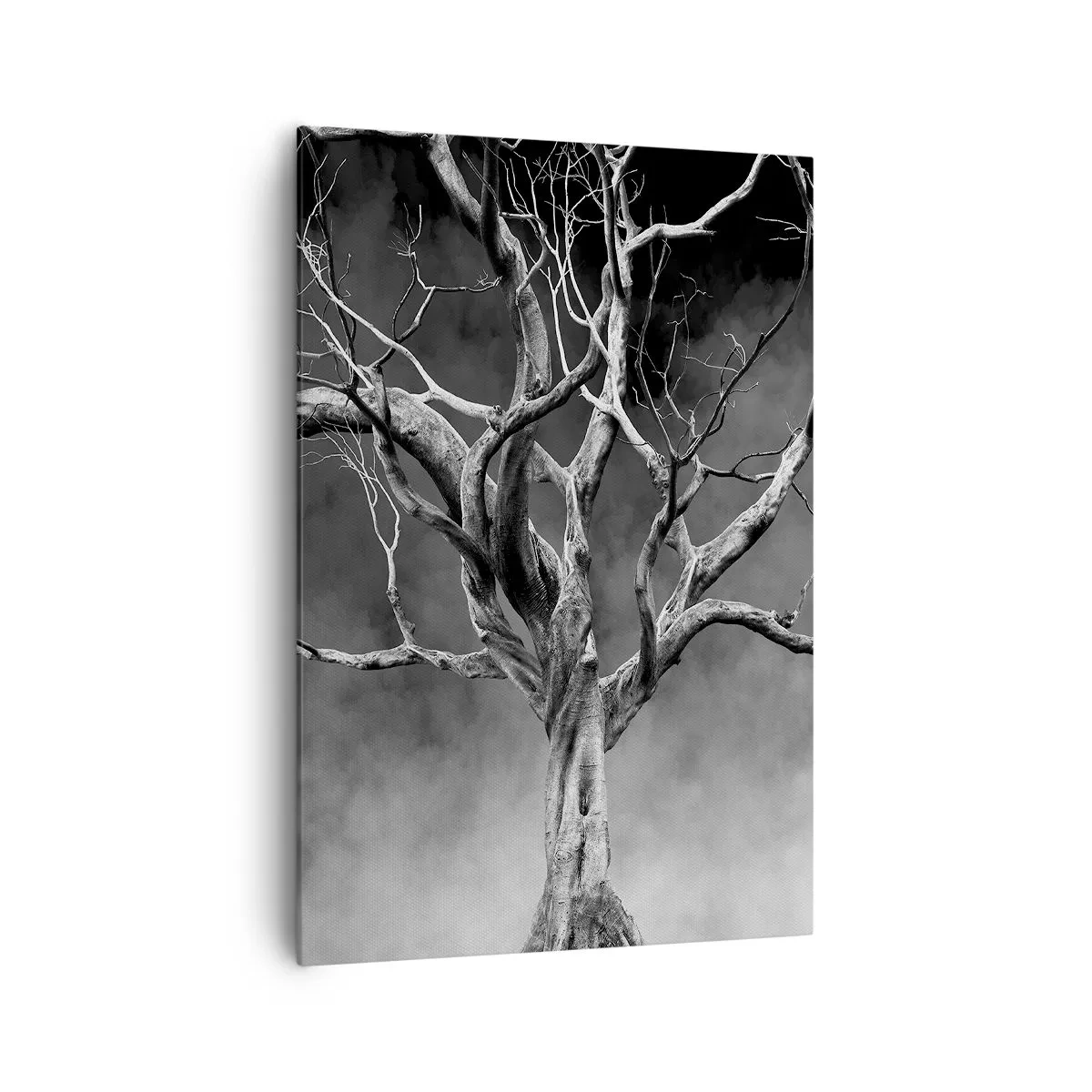 Lærredstryk - Billede på lærred - Primær og hellig - 70x100 cm