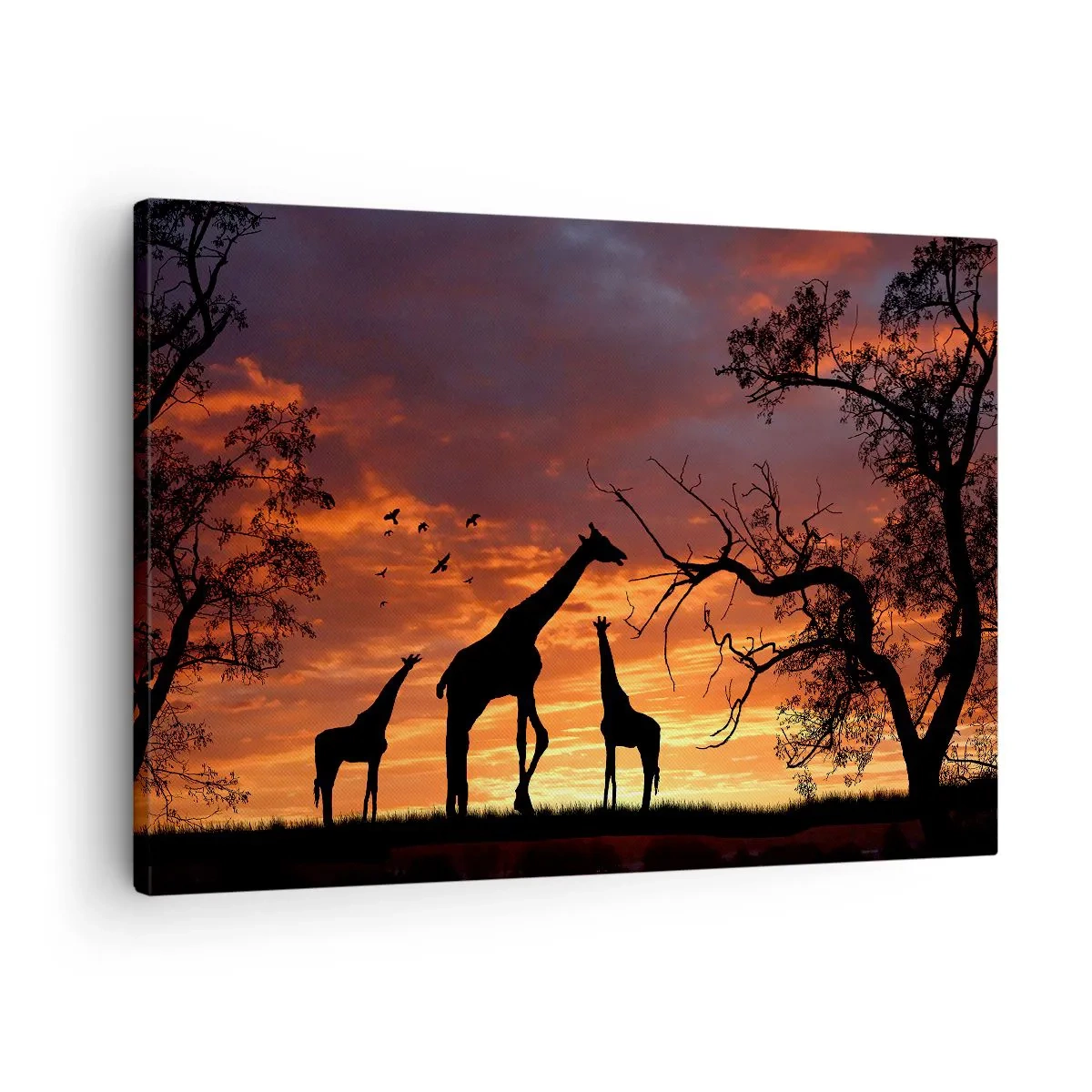 Lærredstryk - Billede på lærred - Silhuetter af giraffer mod baggrunden af den afrikanske solnedgang - 70x50cm - En lille middag med dem, du holder af - Moderne vægdekoration til stue og soveværelse ARTTOR