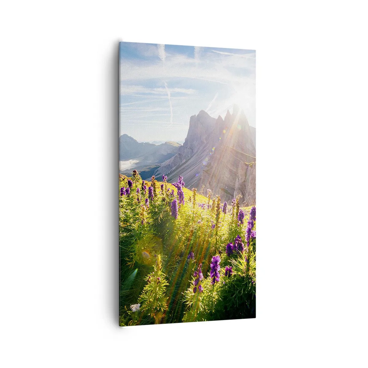 Lærredstryk - Billede på lærred - Urternes hemmelige liv - 65x120 cm