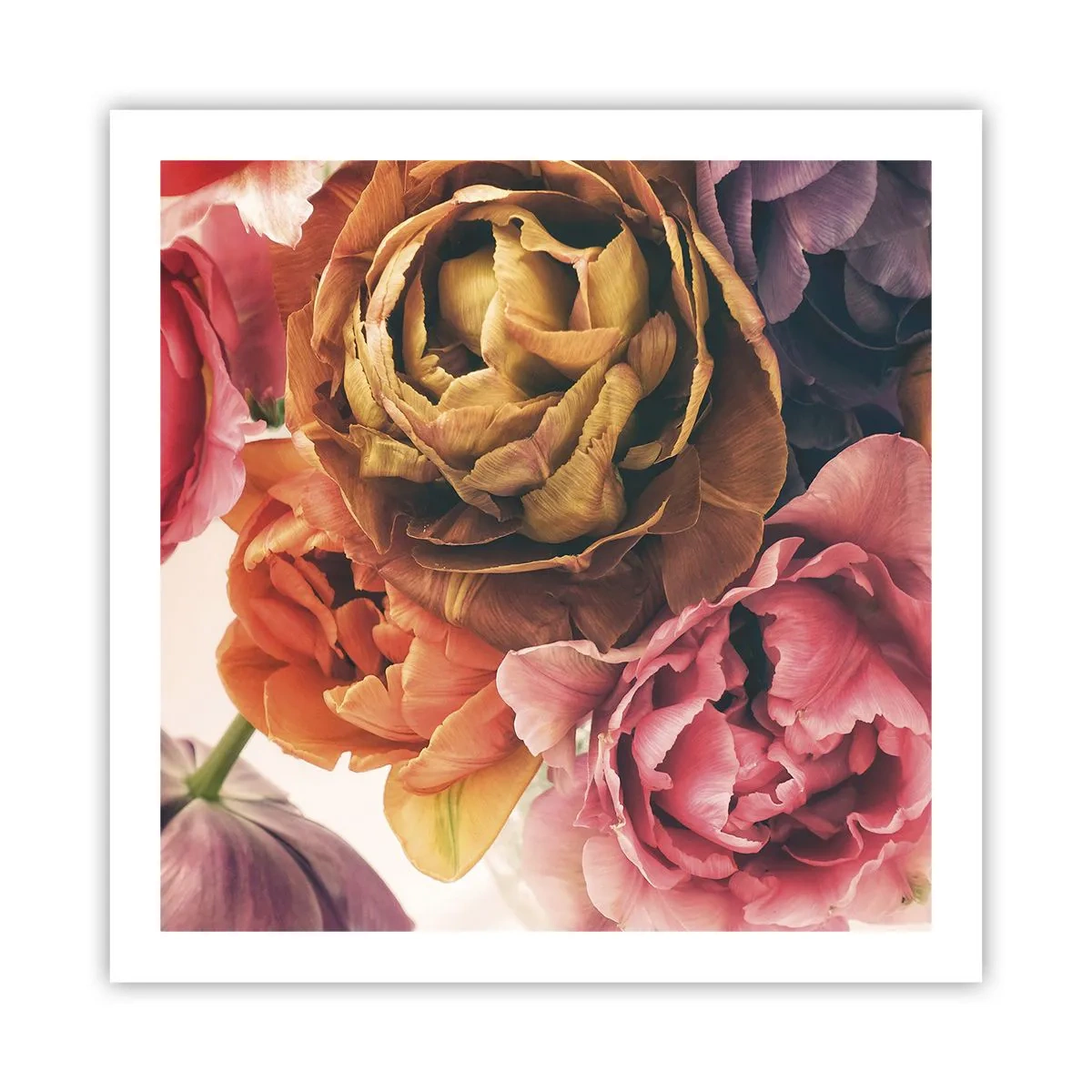 Plakat - Fejring af livet - 60x60 cm
