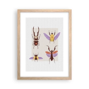 Plakat i ramme af lyst egetræ - Insekternes verden - 30x40 cm
