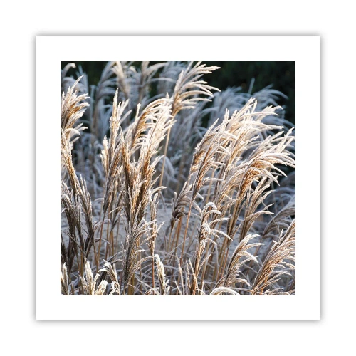Plakat - Pyntet med frost - 40x40 cm
