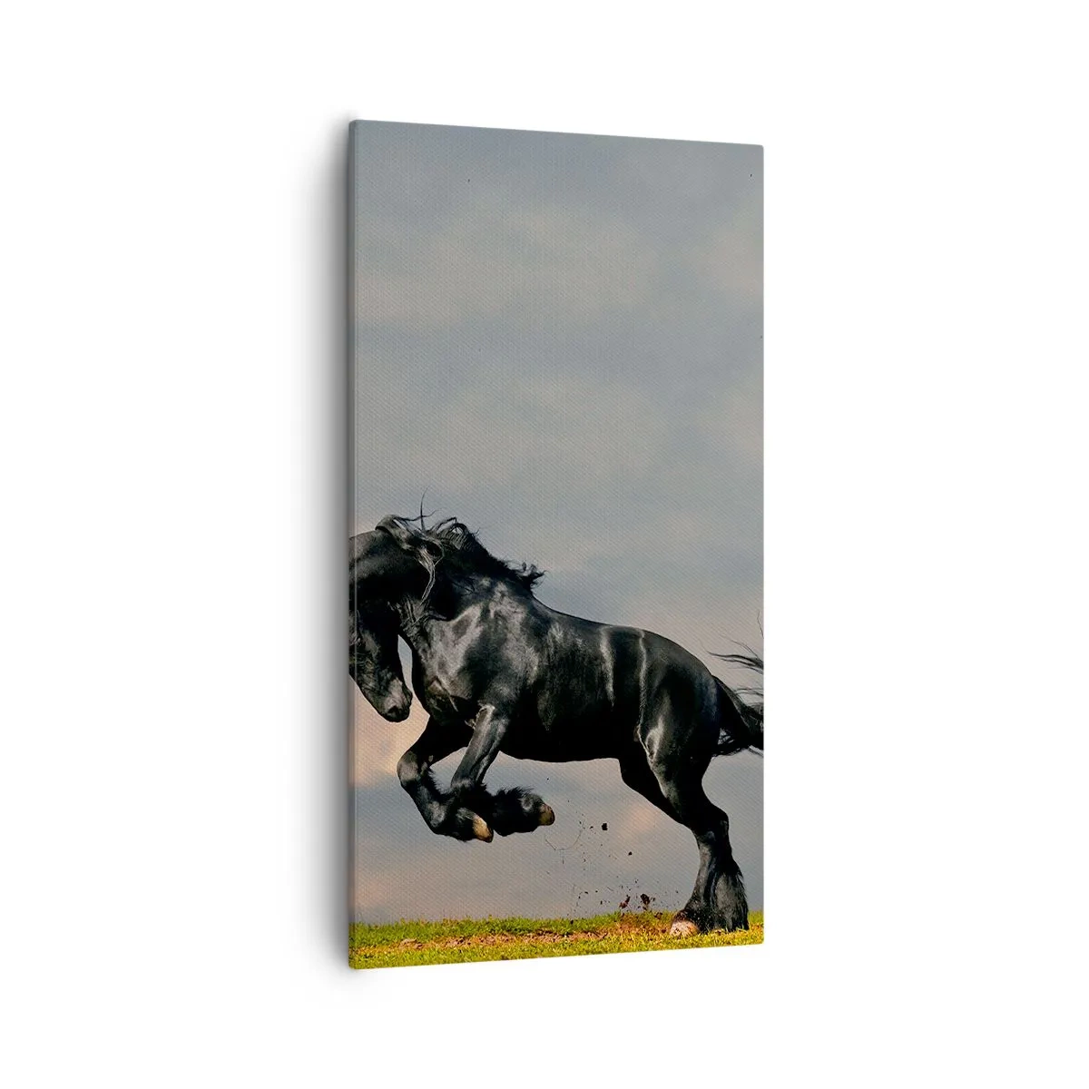 Lærredstryk - Billede på lærred - Smuk og fri - 55x100 cm
