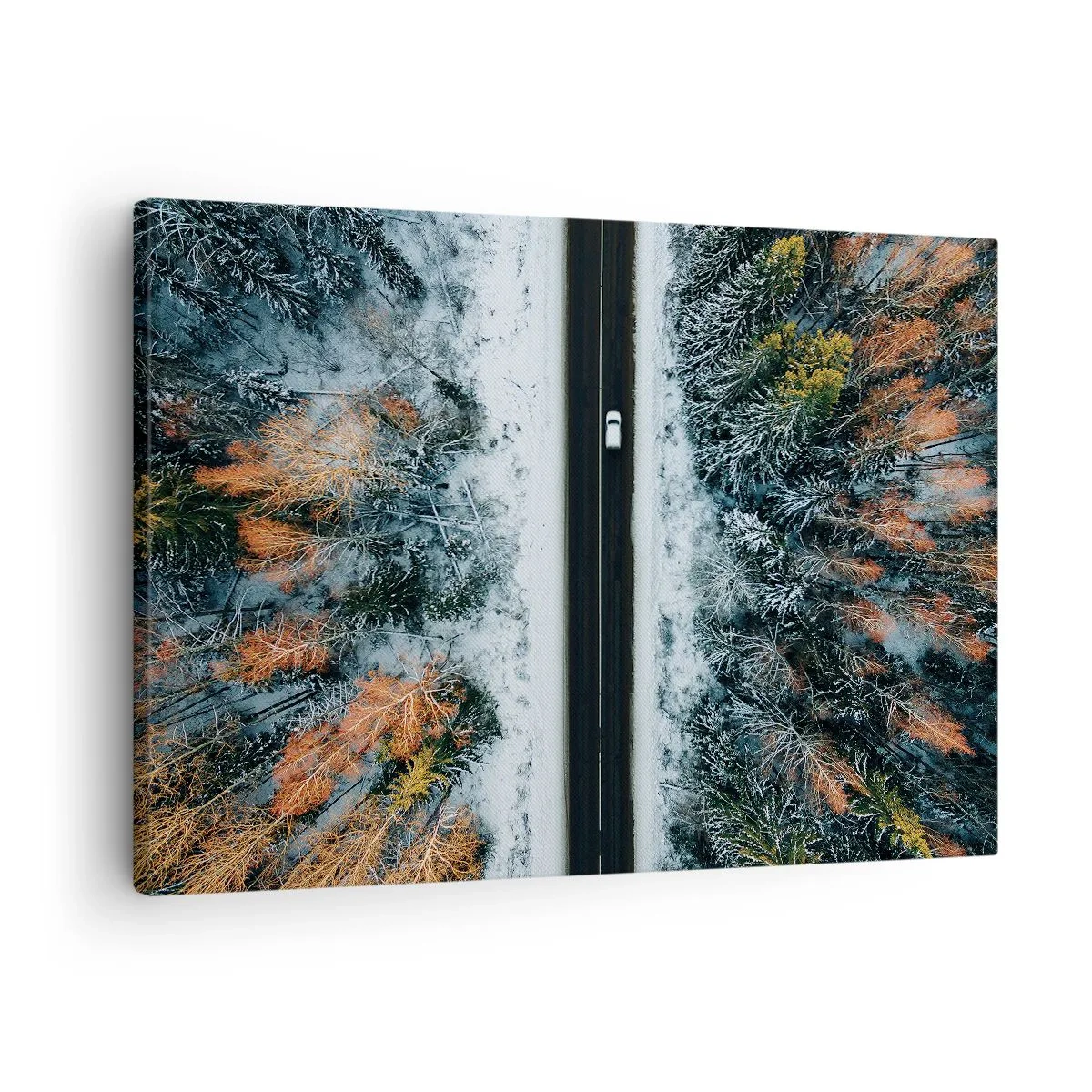 Lærredstryk - Billede på lærred - En vej gennem en vinterskov set fra et fugleperspektiv - 70x50cm - Skær gennem vinterskoven - Moderne vægdekoration til stue og soveværelse ARTTOR