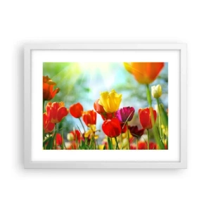 Plakat i hvid ramme - Alle solens farver - 40x30 cm