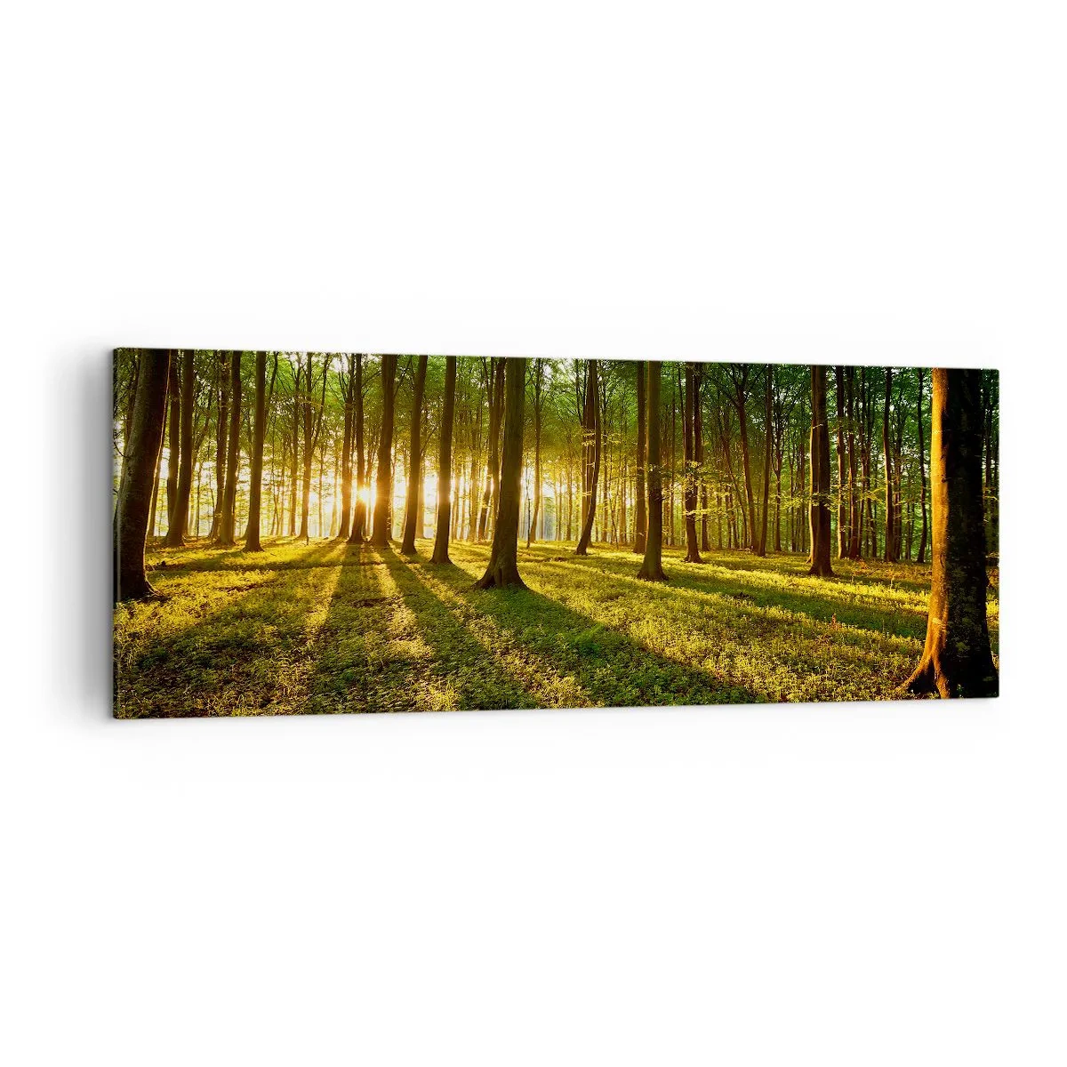 Lærredstryk - Billede på lærred - Fotografering af alle fjedre - 140x50 cm