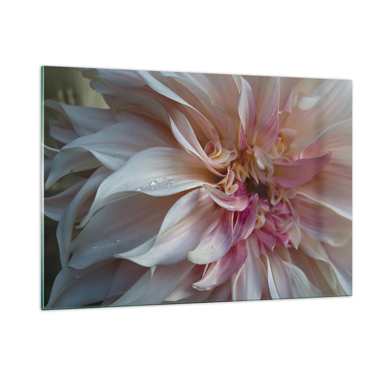 Billede på glas - Blomstrende friskhed - 120x80 cm