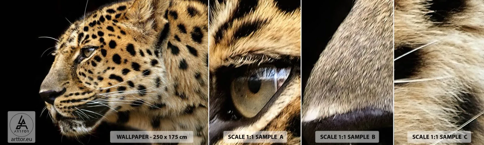 Fototapet Prøve Standard Eco - Rolig, fokuseret, klar - Dyr, leopard, Afrika - 100x30 cm