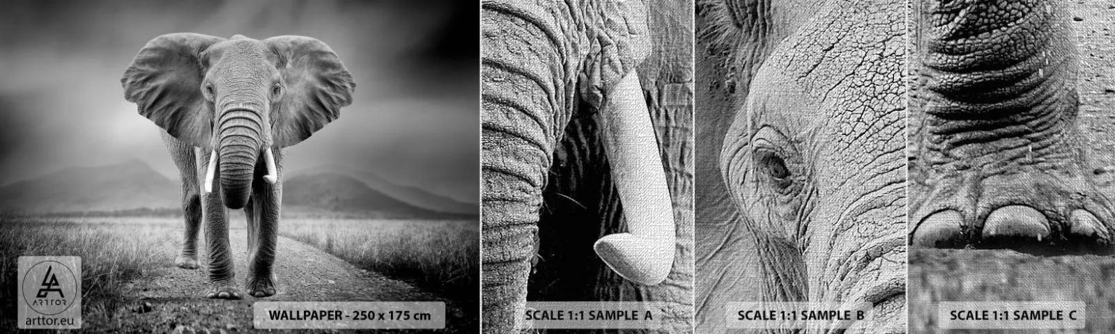 Prøve Fototapet Premium Canvas - Værten byder velkommen til - Elefant, Dyr, Landskab - 100x30 cm