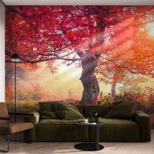 Fototapet Standard Eco - Et væld af blomstring - Landskab, Parkere, Blomster - 150x105 cm