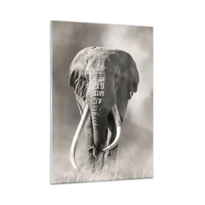 Billede på glas - Afrikansk patriark - 50x70 cm