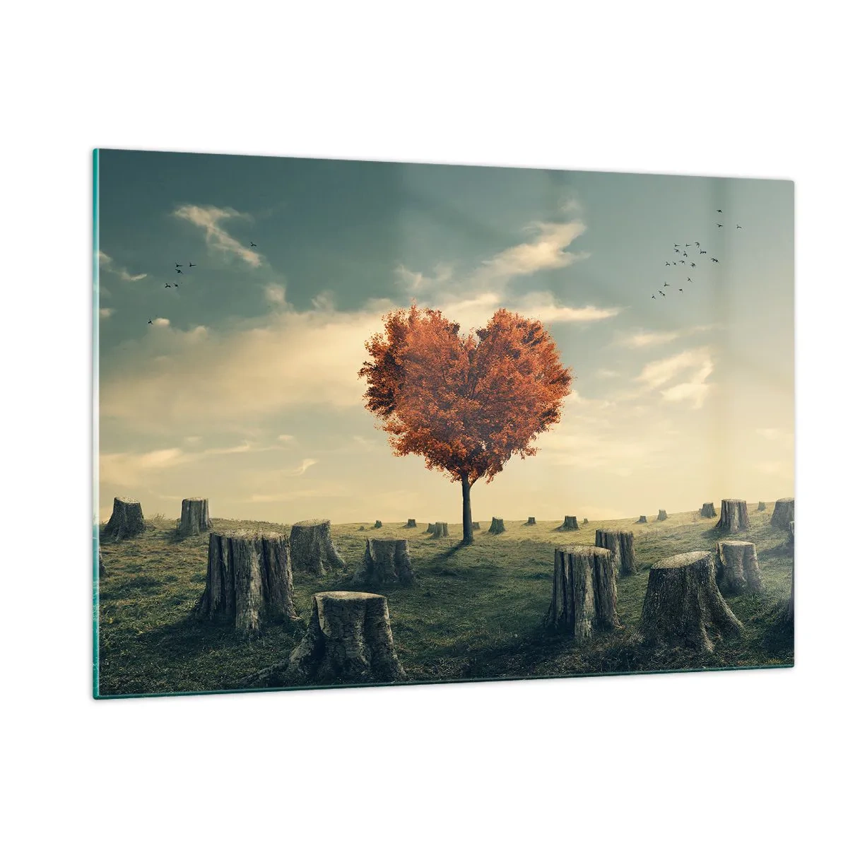 Billede på glas - Der er stadig håb - 120x80 cm