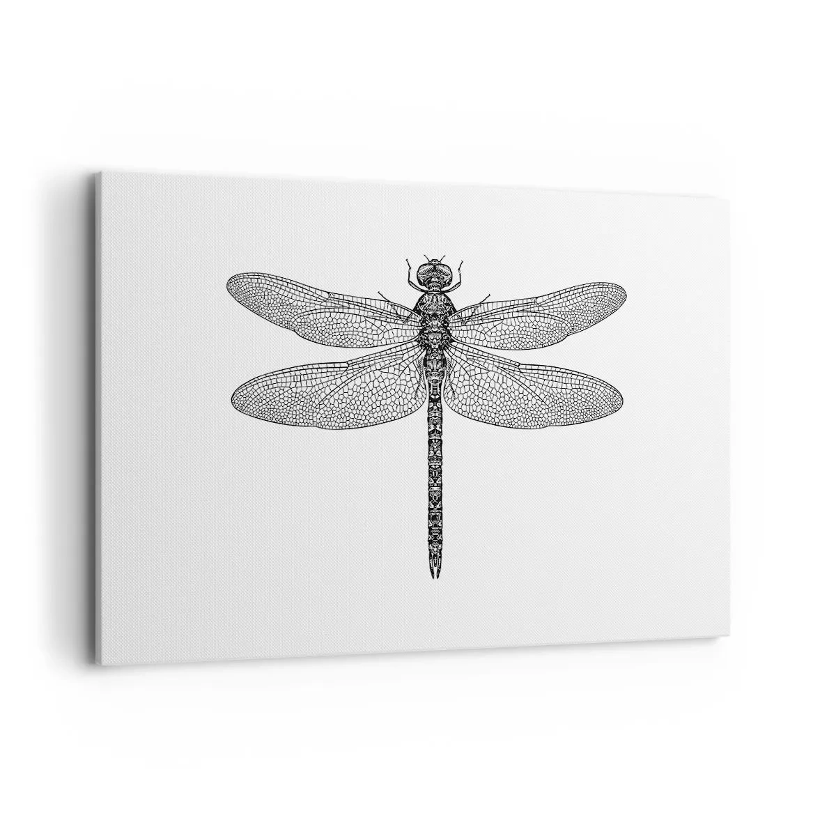 Lærredstryk - Billede på lærred - Præcision i naturen - 120x80 cm