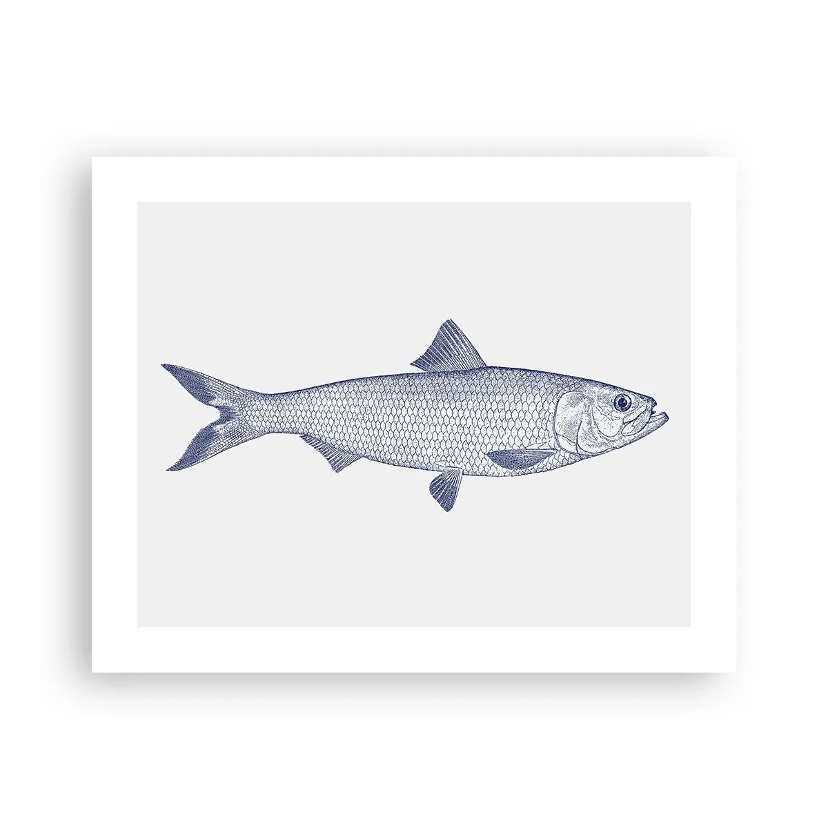 Plakat - Hilsner fra de nordlige have - 50x40 cm