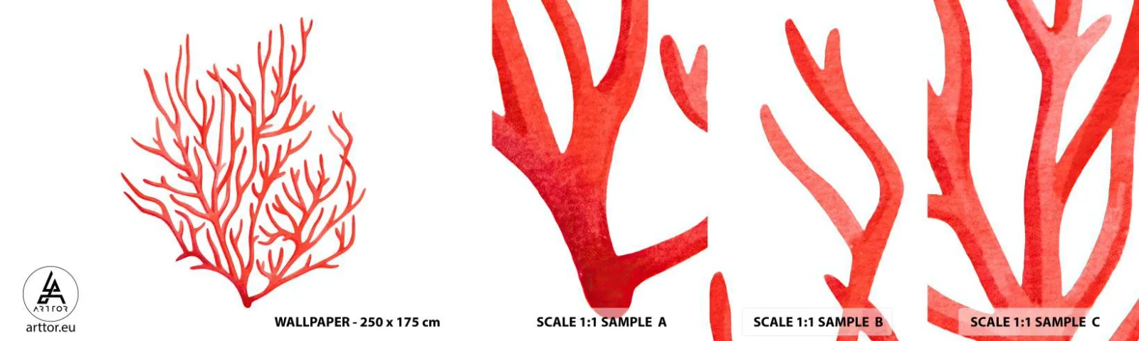 Prøve Fototapet Selvklæbende Deluxe Sticker - Koral-filigran - koralrev, Ved havet, Minimalistisk - 100x30 cm