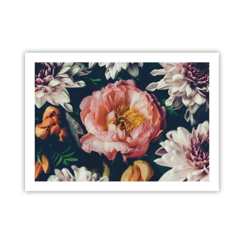 Plakat - Med barok pragt - 70x50 cm