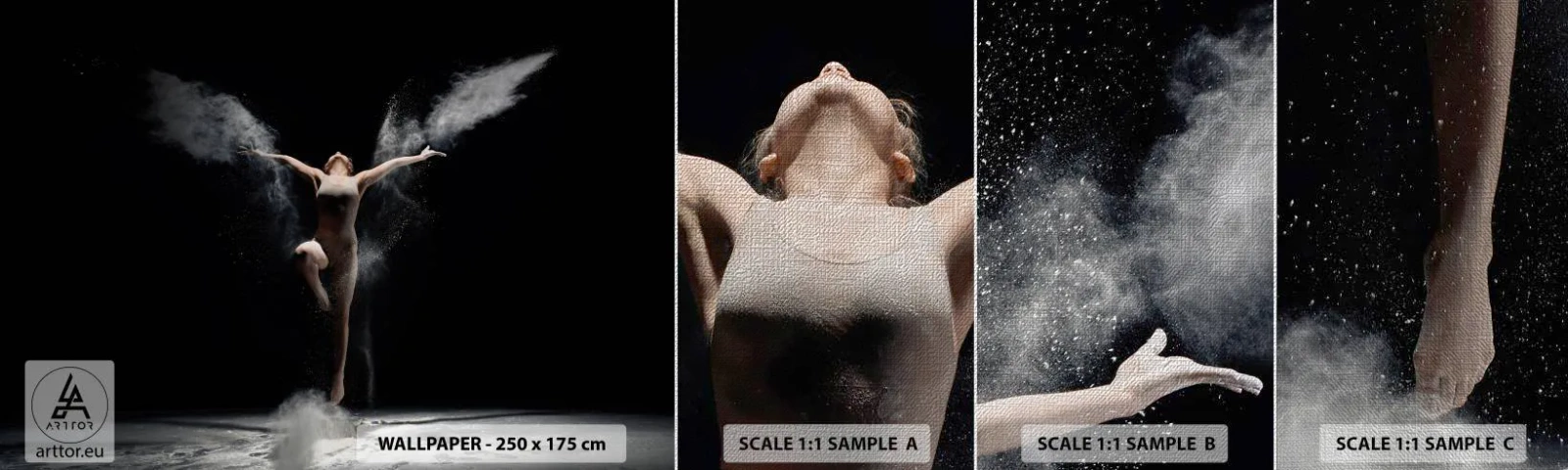 Prøve Fototapet Premium Canvas - Elfer findes - Abstraktion, Danser, Gymnast - 100x30 cm