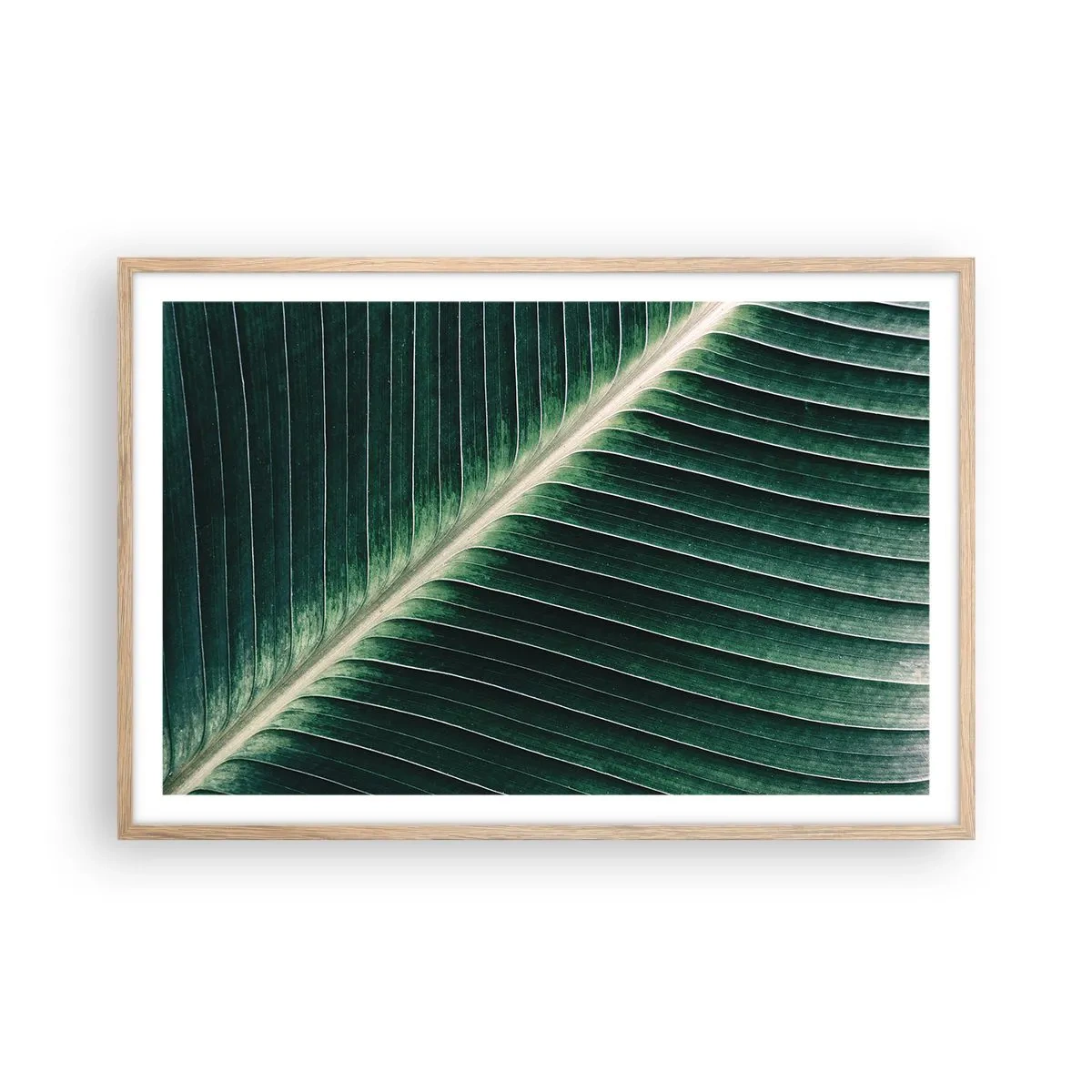 Plakat i ramme af lyst egetræ - Naturens rytme - 91x61 cm