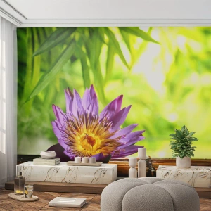 Fototapet Selvklæbende Deluxe Sticker - I det asiatiske solskin - Blomst, Lotus blomst, Bambus - 200x140 cm