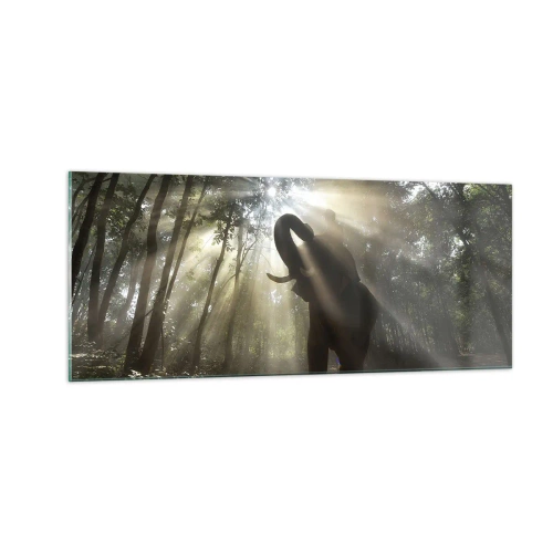 Billede på glas - Under en lykkelig stjerne - 100x40 cm