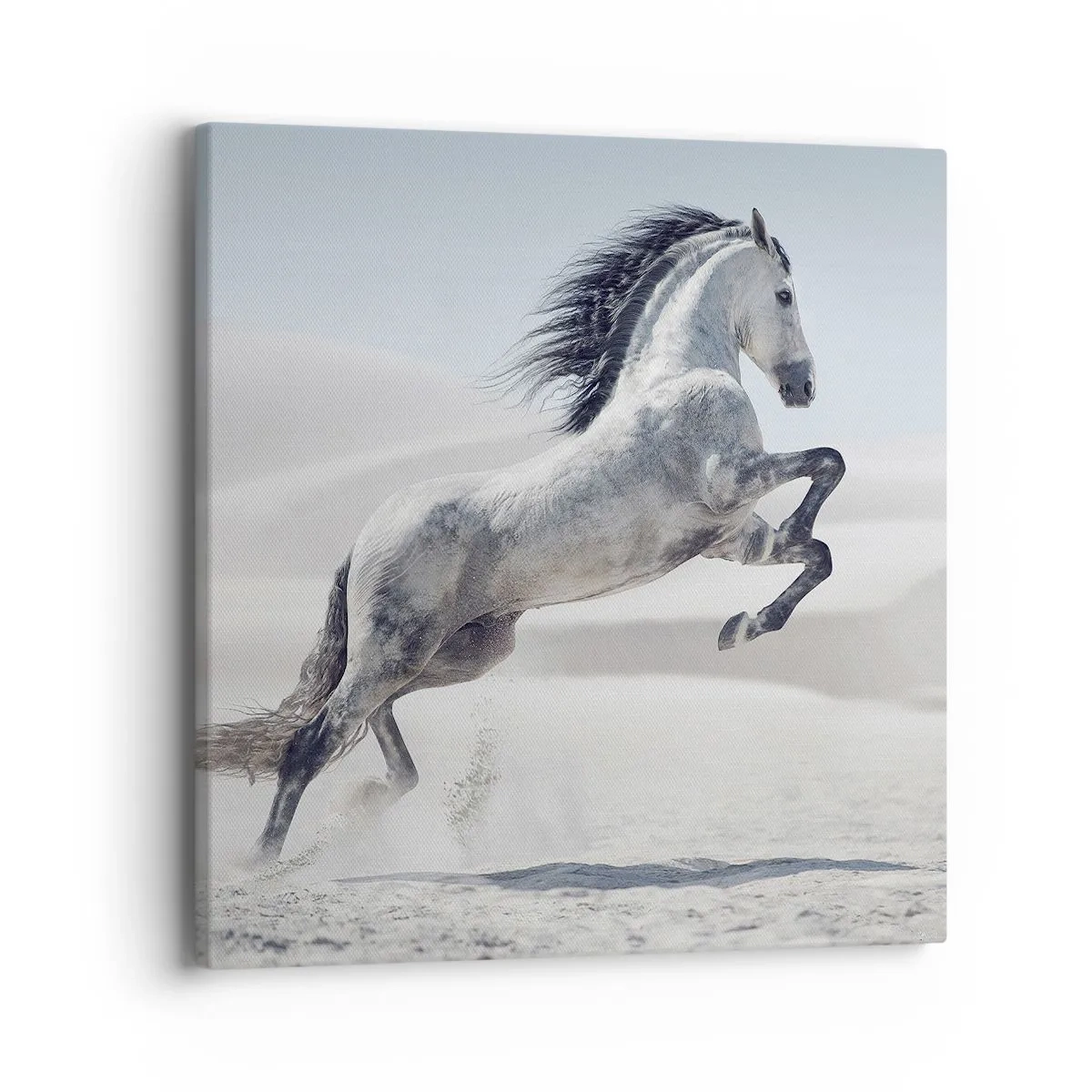 Lærredstryk - Billede på lærred - Arabisk prins - 40x40 cm