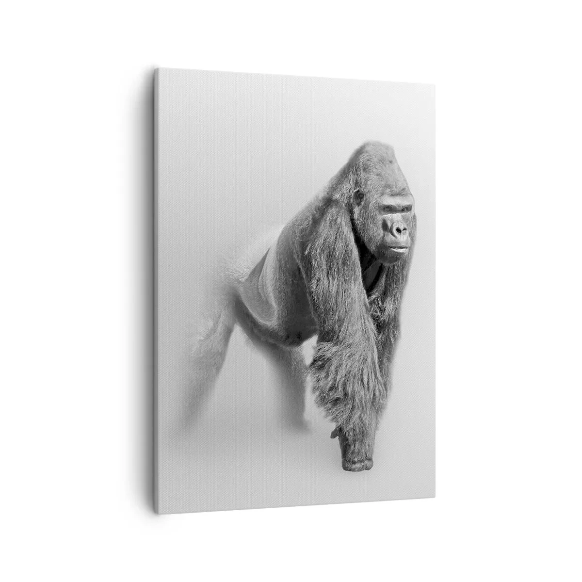 Lærredstryk - Billede på lærred - Selvsikker på sin styrke - 50x70 cm
