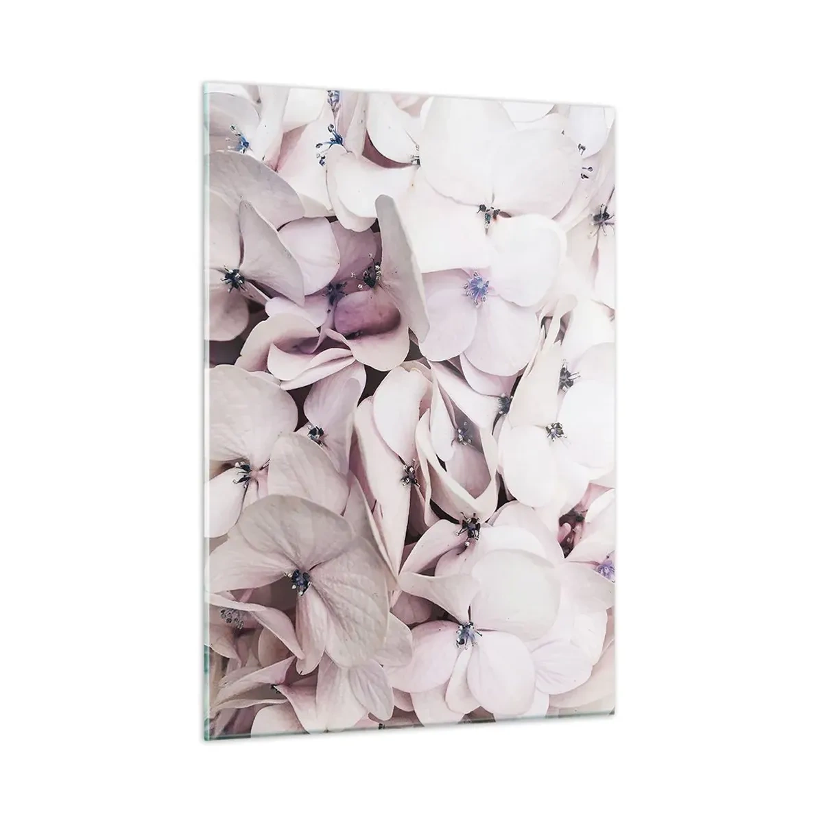 Billede på glas - I en flod af blomster - 50x70 cm