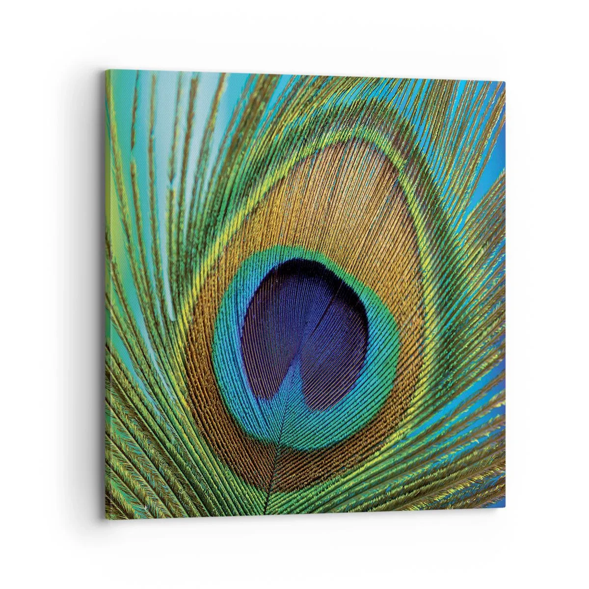 Lærredstryk - Billede på lærred - Øje mod øje - 70x70 cm