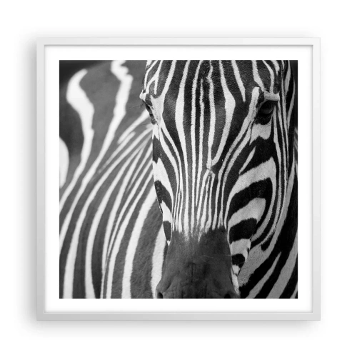 Plakat i hvid ramme - Verden er sort og hvid - 60x60 cm