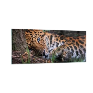 Billede på glas - Stol på mig - 100x40 cm