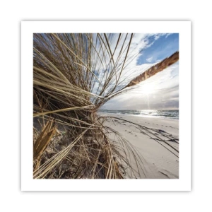 Plakat - Et møde mellem elementerne - 50x50 cm