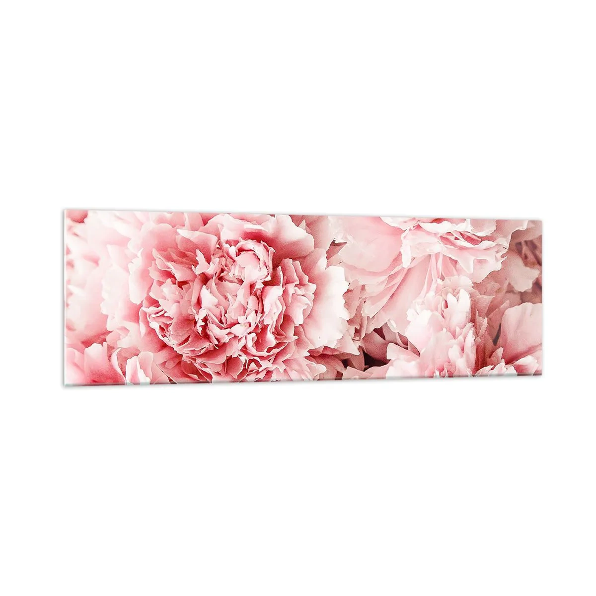 Billede på glas - Lyserød drøm - 160x50 cm
