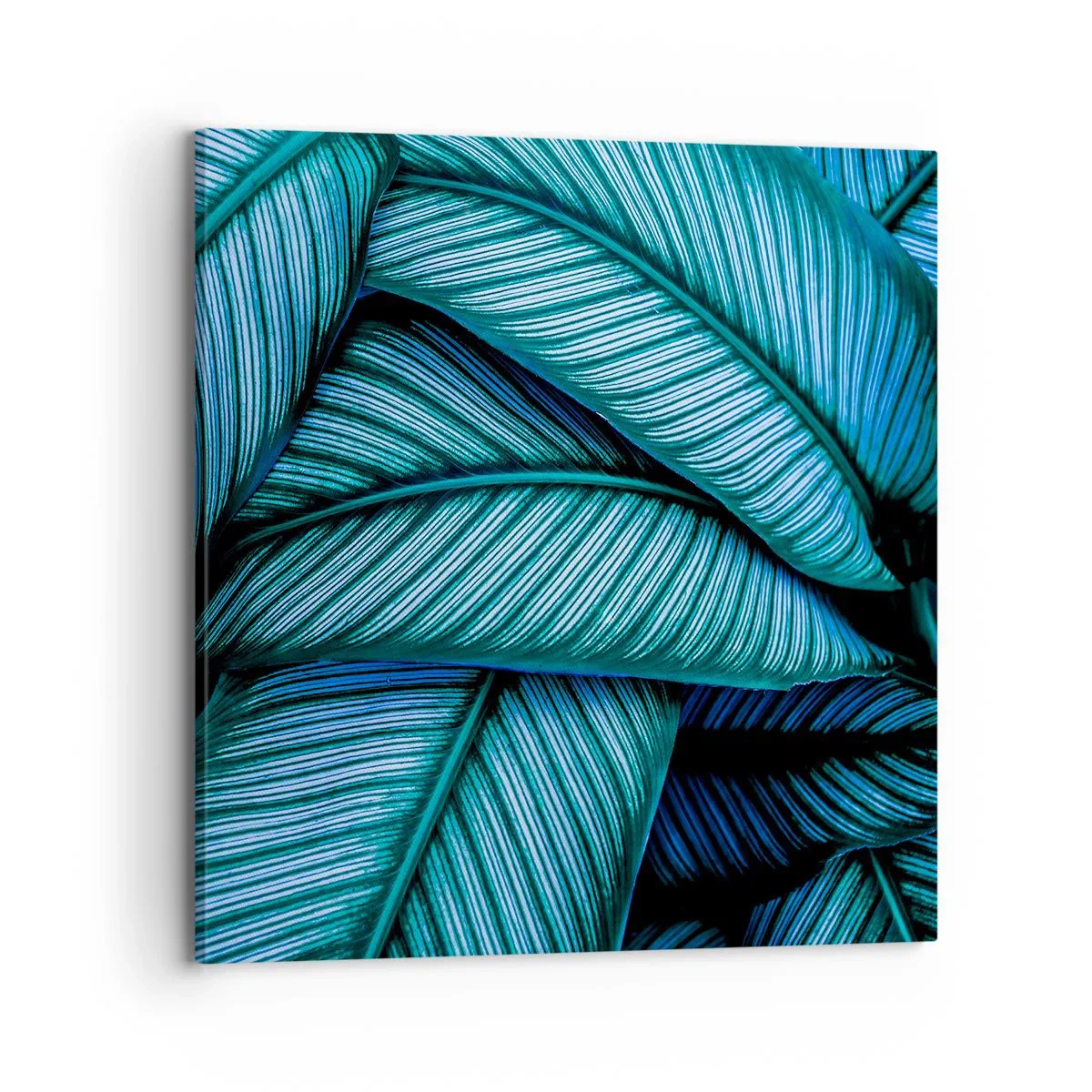 Lærredstryk - Billede på lærred - Livslinjer - 70x70 cm