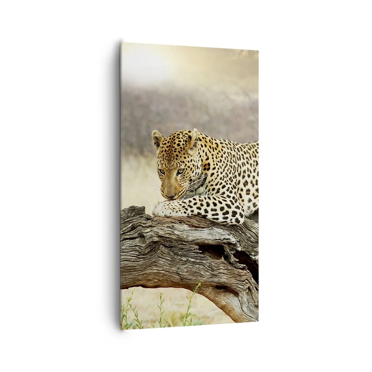 Lærredstryk - Billede på lærred - Jeg går min egen vej - 65x120 cm