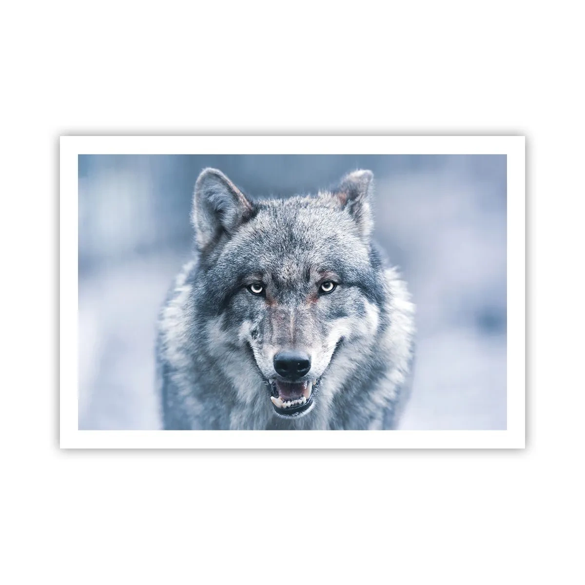 Plakat - Vil du tage udfordringen op? - 91x61 cm