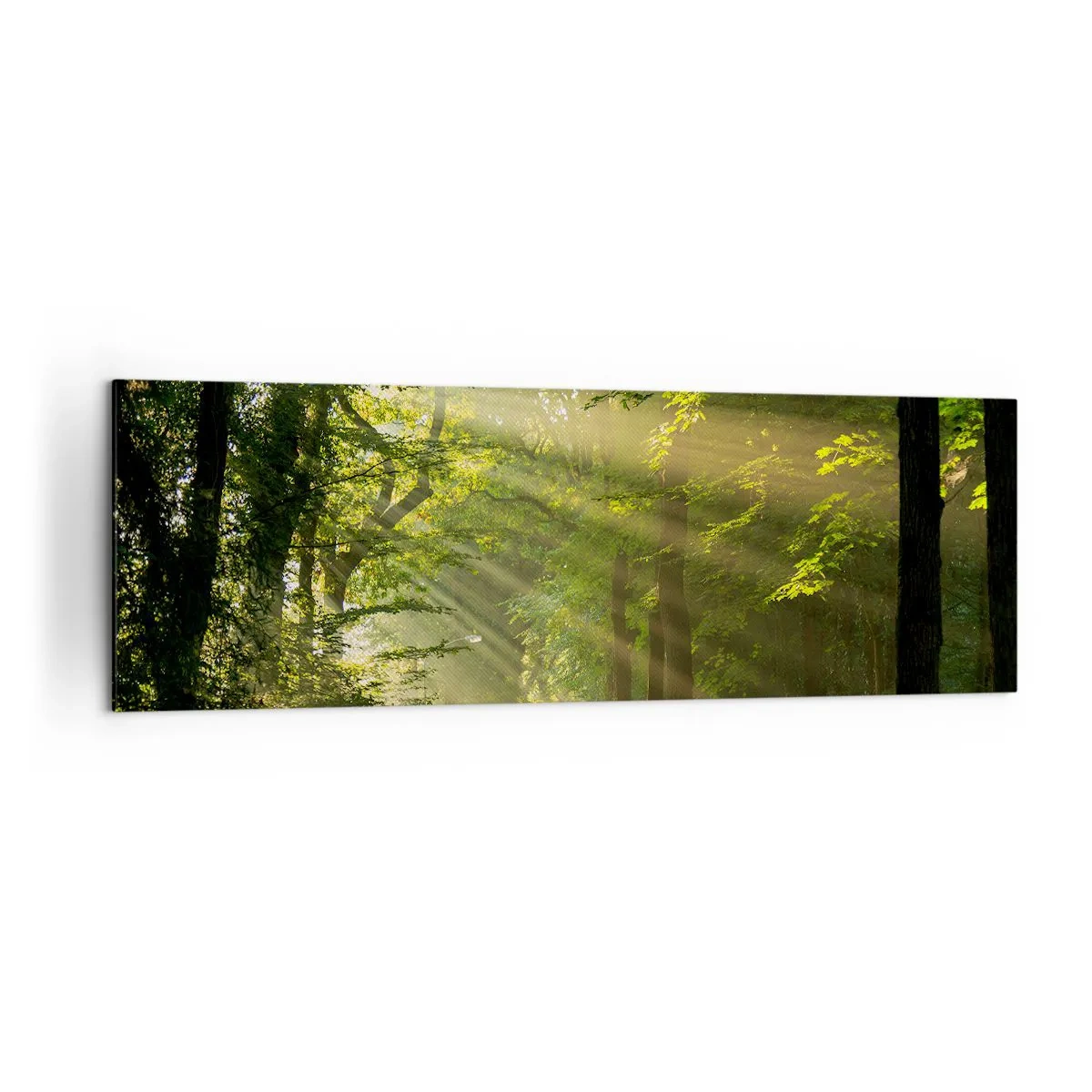 Lærredstryk - Billede på lærred - Øjeblik i skoven - 160x50 cm