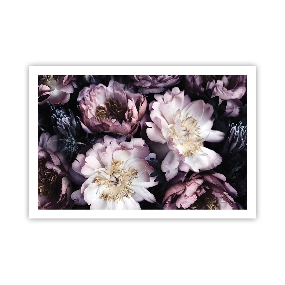 Plakat - Gammeldags buket - 91x61 cm