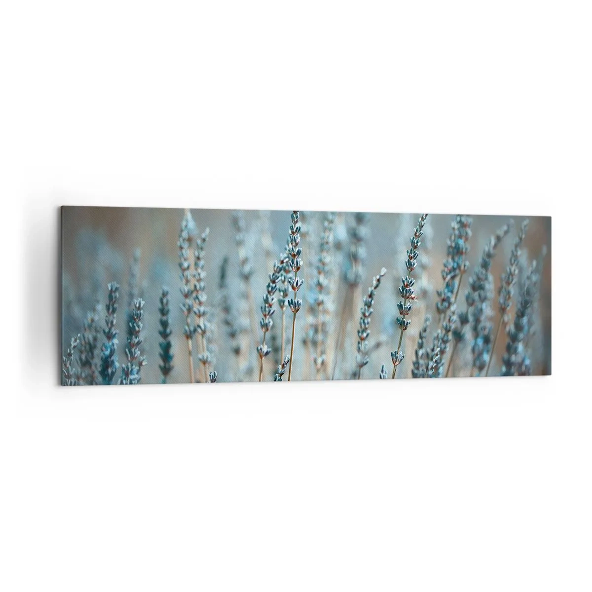 Lærredstryk - Billede på lærred - Duftende plet - 160x50 cm