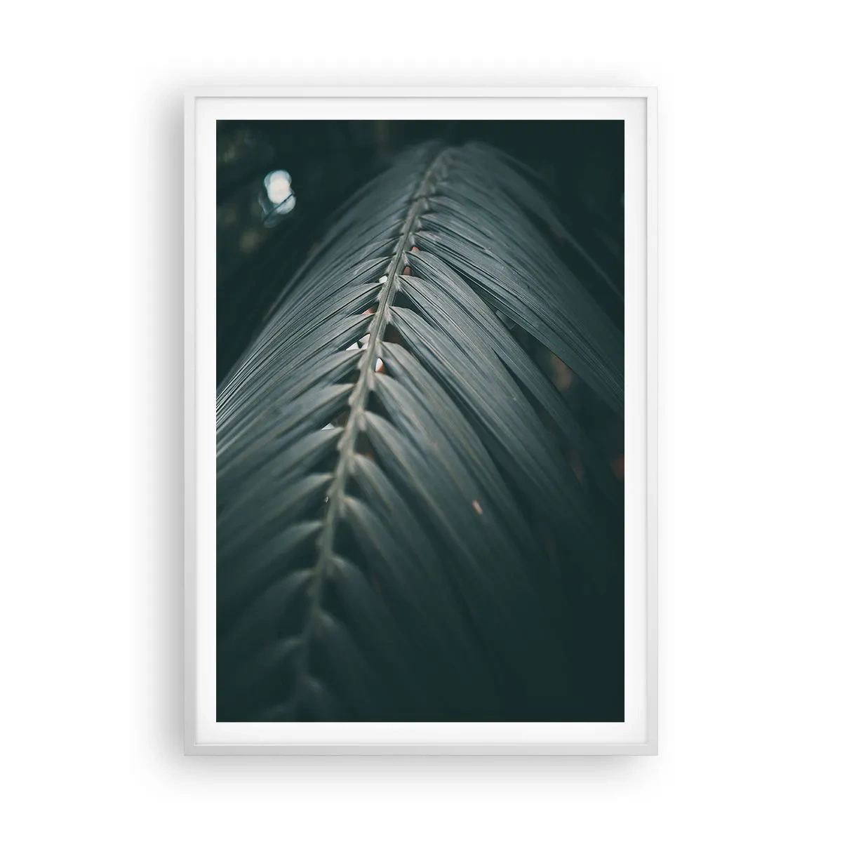 Plakat i hvid ramme - Naturens præcision - 70x100 cm