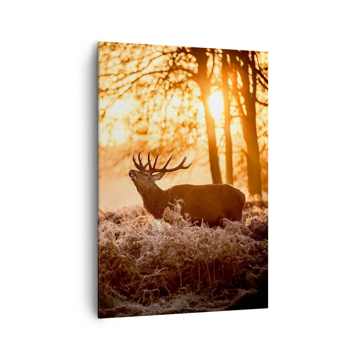 Lærredstryk - Billede på lærred - En jægerdrøm - 70x100 cm