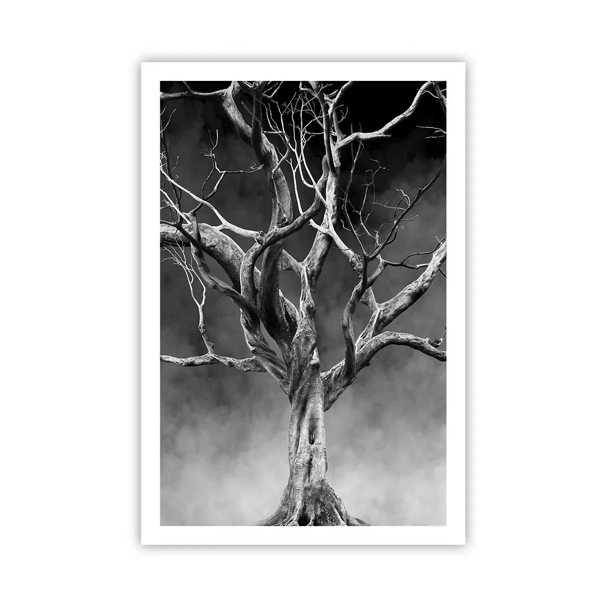 Plakat - Primær og hellig - 61x91 cm