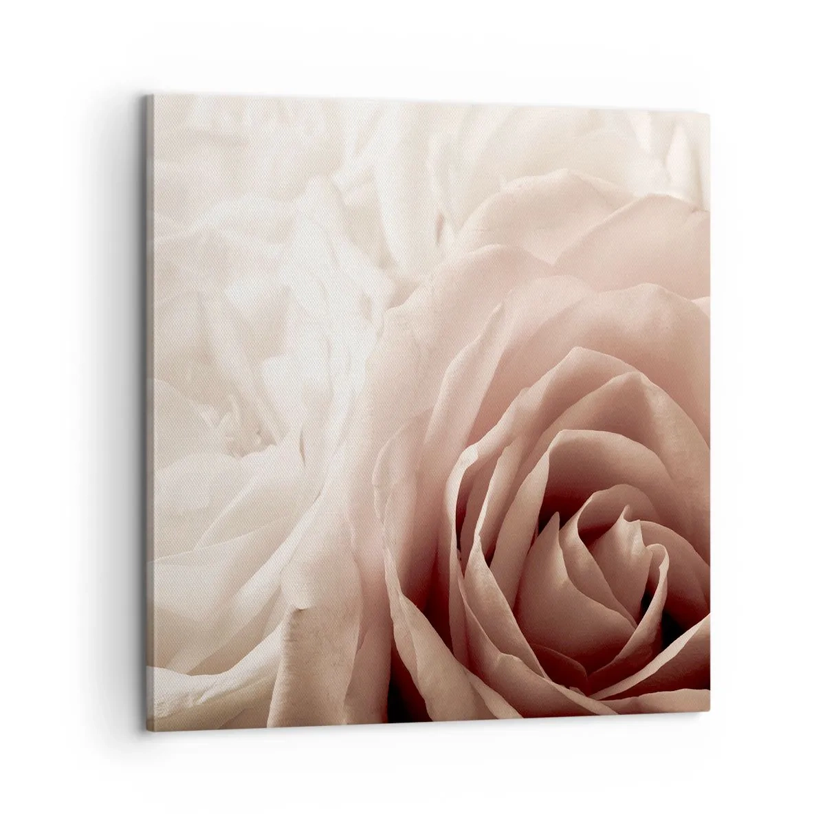 Lærredstryk - Billede på lærred - I rosens hjerte - 60x60 cm